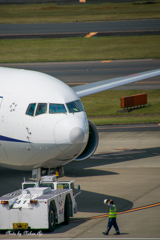 NRT intl. airport terminal 1 north wing