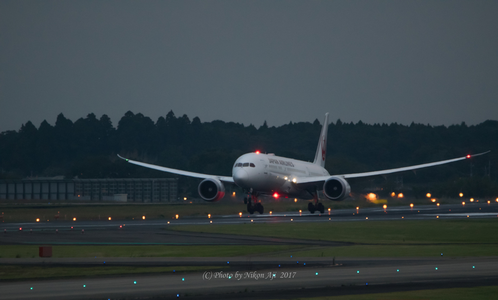 JAL　B-787