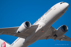 JAL　B-787