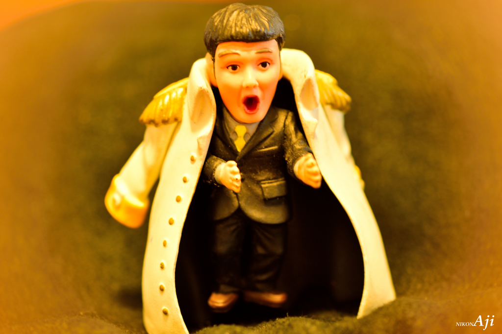 家撮　『海兵』