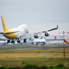シコーキ