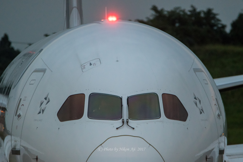 NEW ZEALAND　B-787