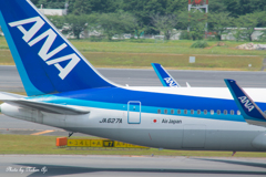 NRT intl. airport terminal 1 north wing