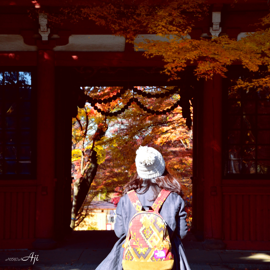 晩秋　本土寺の最後の紅葉