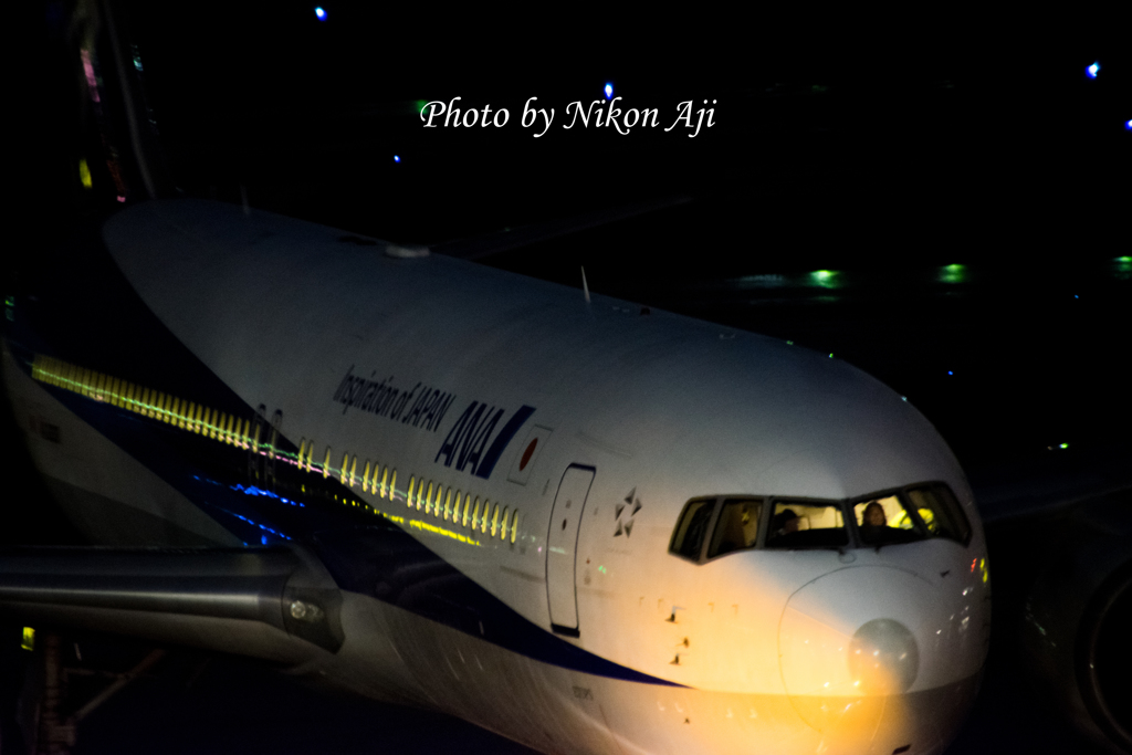 NRT intl. airport terminal 1 north wing