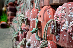 メゾン・ド・蛸壺