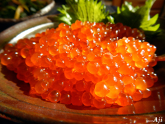 プリン体　食べ放題(/・ω・)/