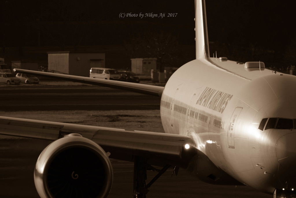 JAL シックなトリポーさん