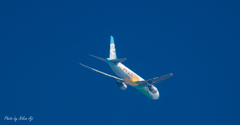 青い空に一粒