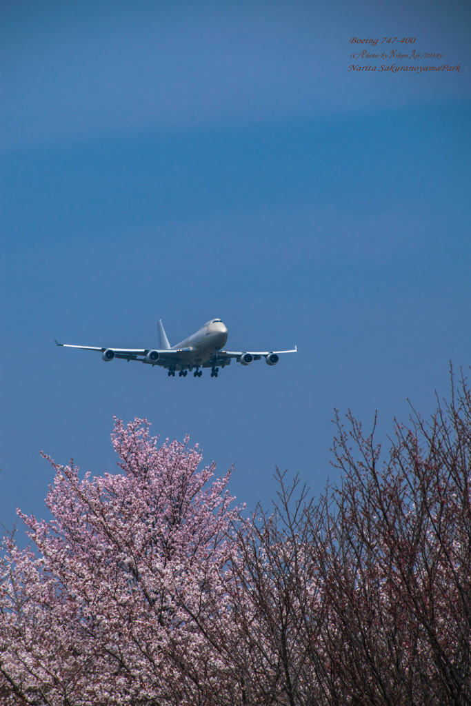 桜とアトラスB4