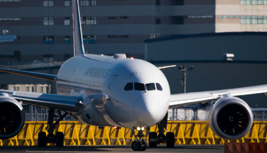 JAL　B-787