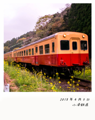 小湊の春