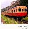 小湊の春