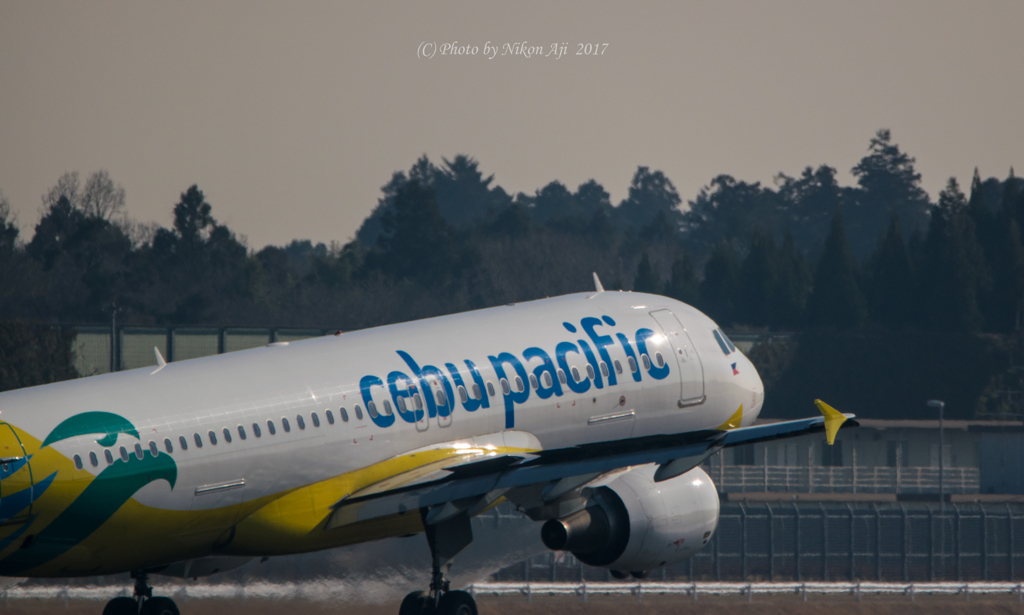 CebuPacific