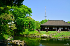 伝法院のツリーと空のツリー