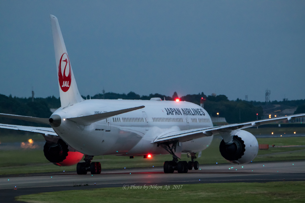 JAL　B-787