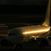 B737