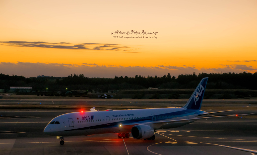 Narita Sunset