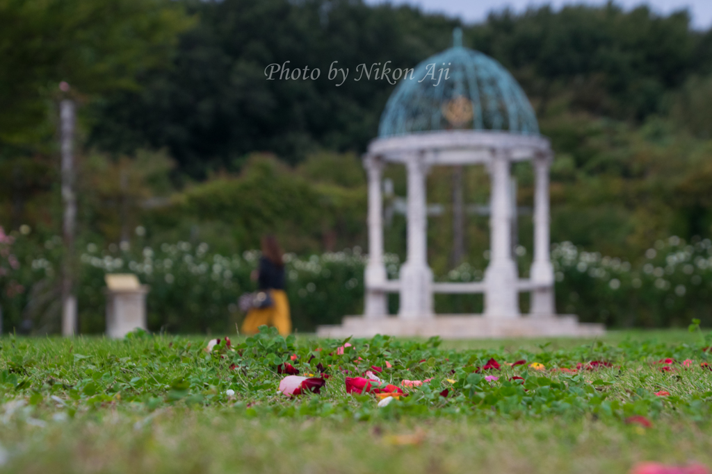 RosePark