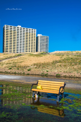 青空とベンチとバナナと・・・　バナナ( ﾟДﾟ)？？