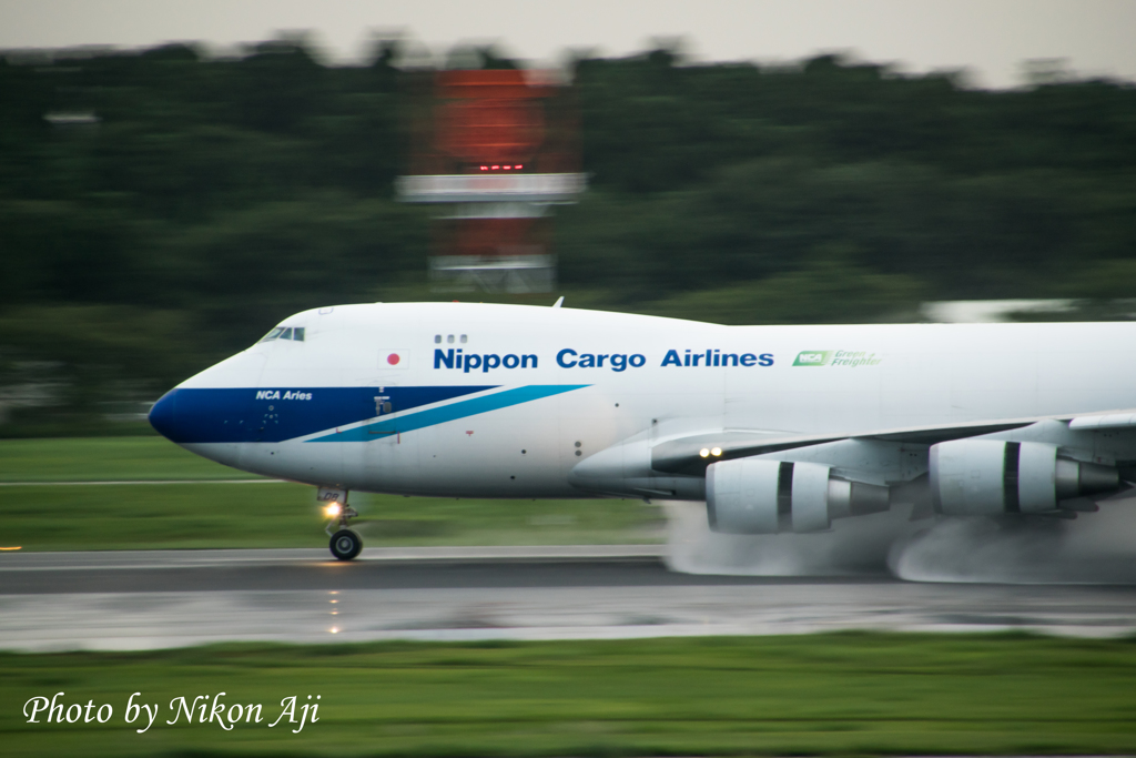 NRT intl. airport terminal 1 north wing