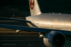 JAL　B777-300