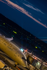 ETIHAD＠NARITA