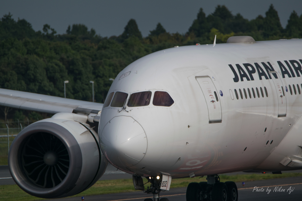 JAL B-8