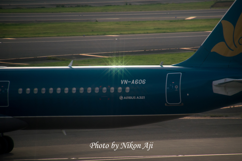 光る☆ヴェトナム