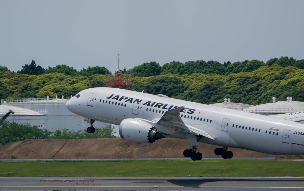 JAL　B787-8 Dreamliner