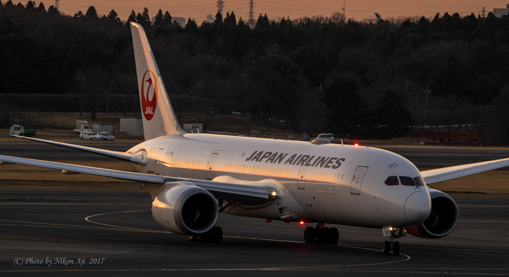 JAL B787