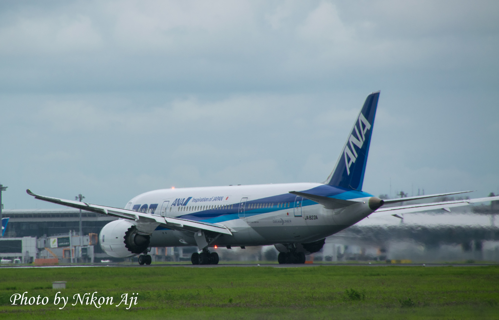 NArita International Airport 