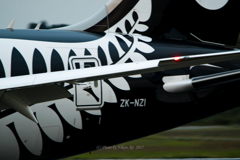 NEW ZEALAND　B-787
