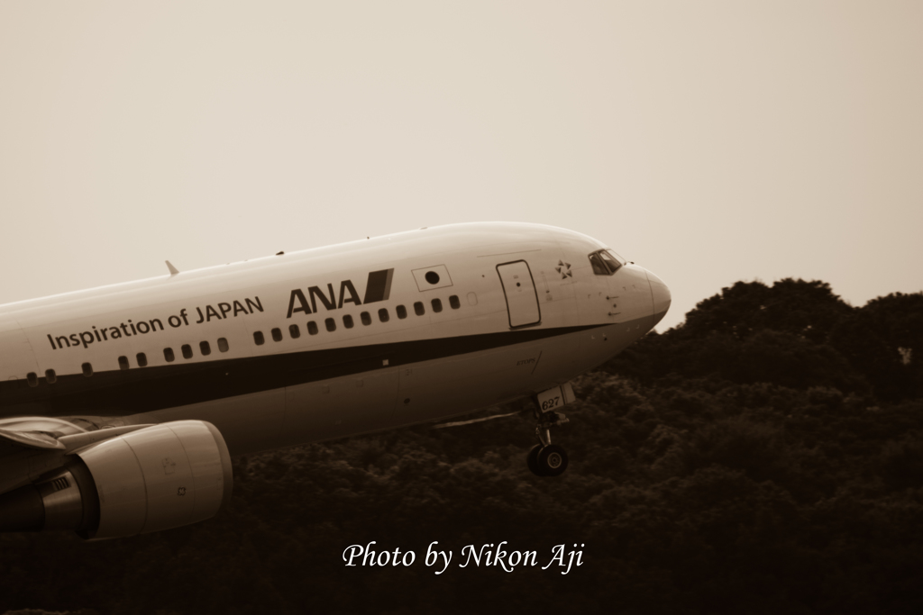 NRT intl. airport terminal