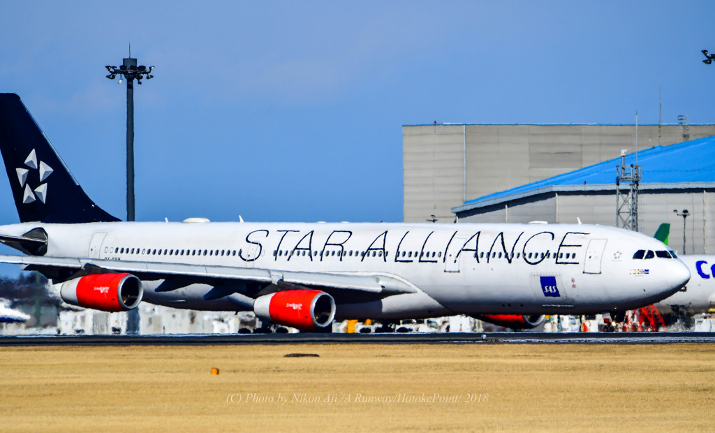 SAS　スタアラさん　A340♪