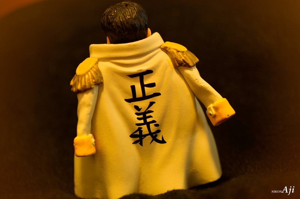 家撮　『海兵』