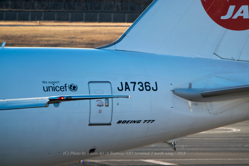 JAL　トリポーさん