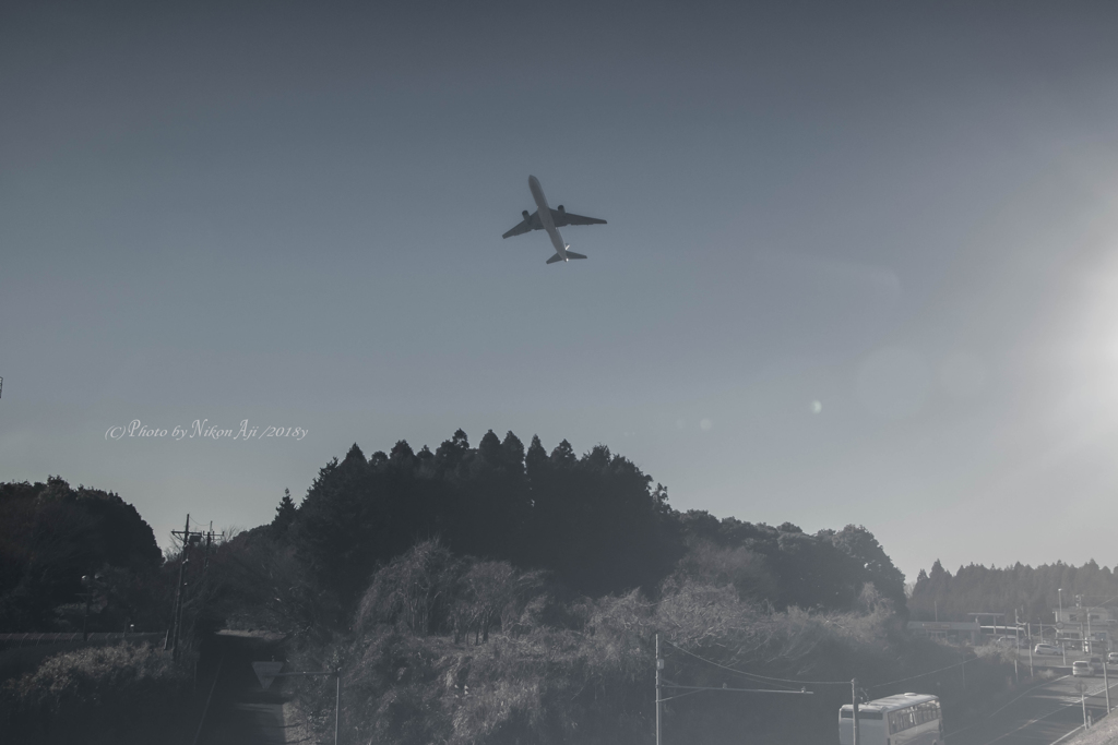 さくらの山