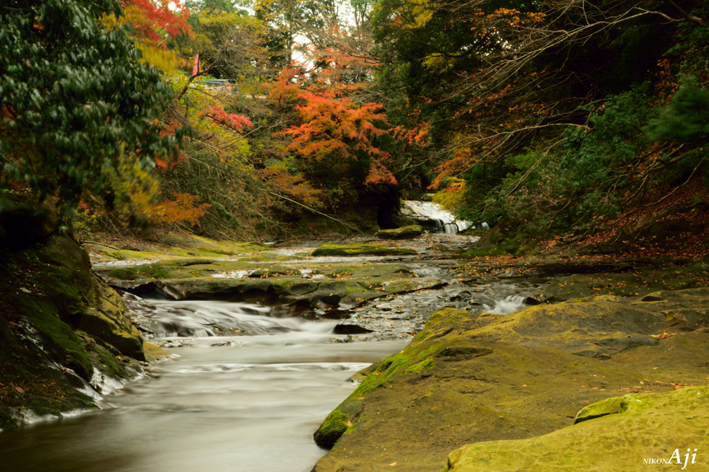 養老渓谷　『粟又の滝上流』