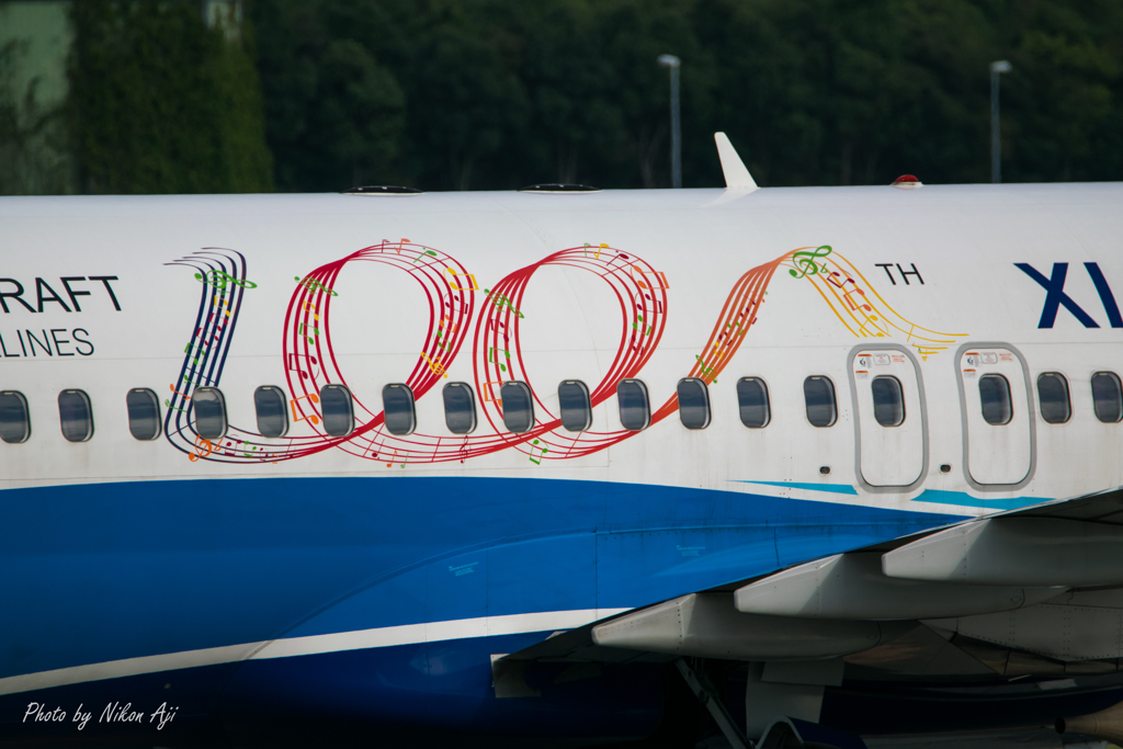 Xiamen Air  B-737