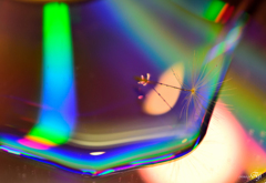 ｱﾒｰﾊﾞｰVS綿毛