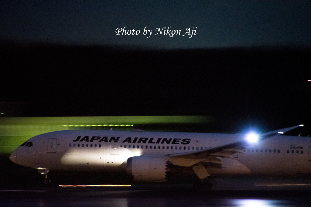 NRT intl. airport terminal 1 north wing