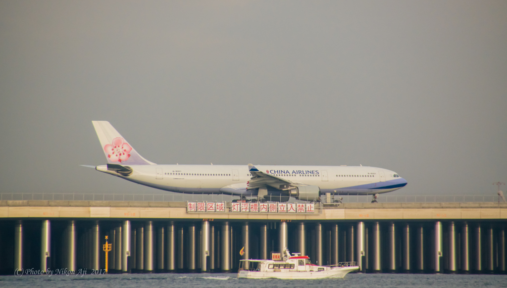 浮島で撮る