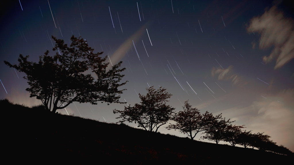 星は森へ帰る