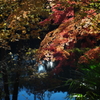 震生湖の紅葉