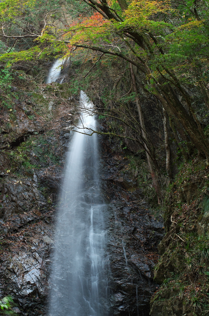 払沢の滝2