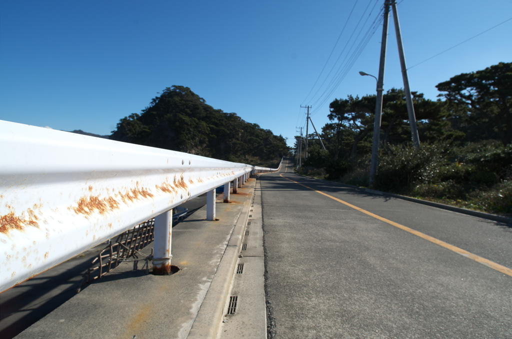 海風に吹かれる道