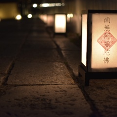 ライトアップ