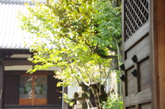 初撮り３