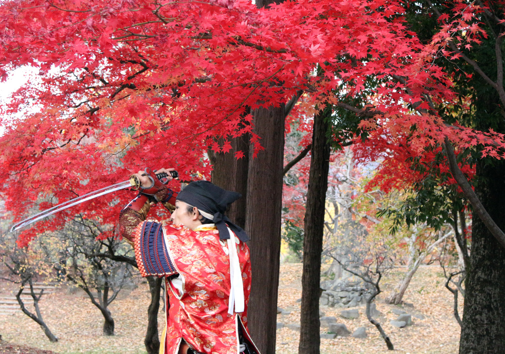 赤と紅１